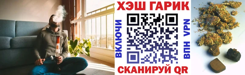 ГАШ VHQ Няндома