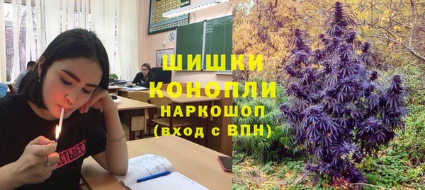 2c-b Михайлов