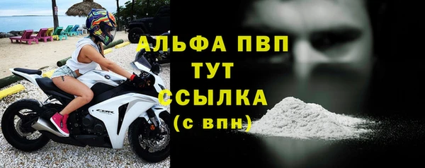 гашик Михайловск