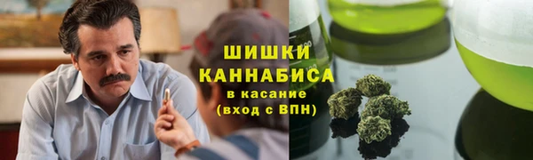 гашик Михайловск