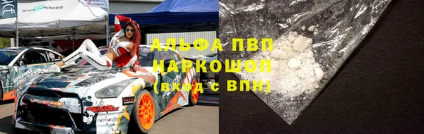 гашик Михайловск