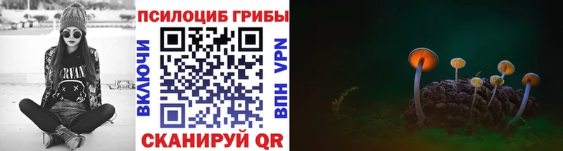 omg ТОР  Няндома  Псилоцибиновые грибы мицелий 